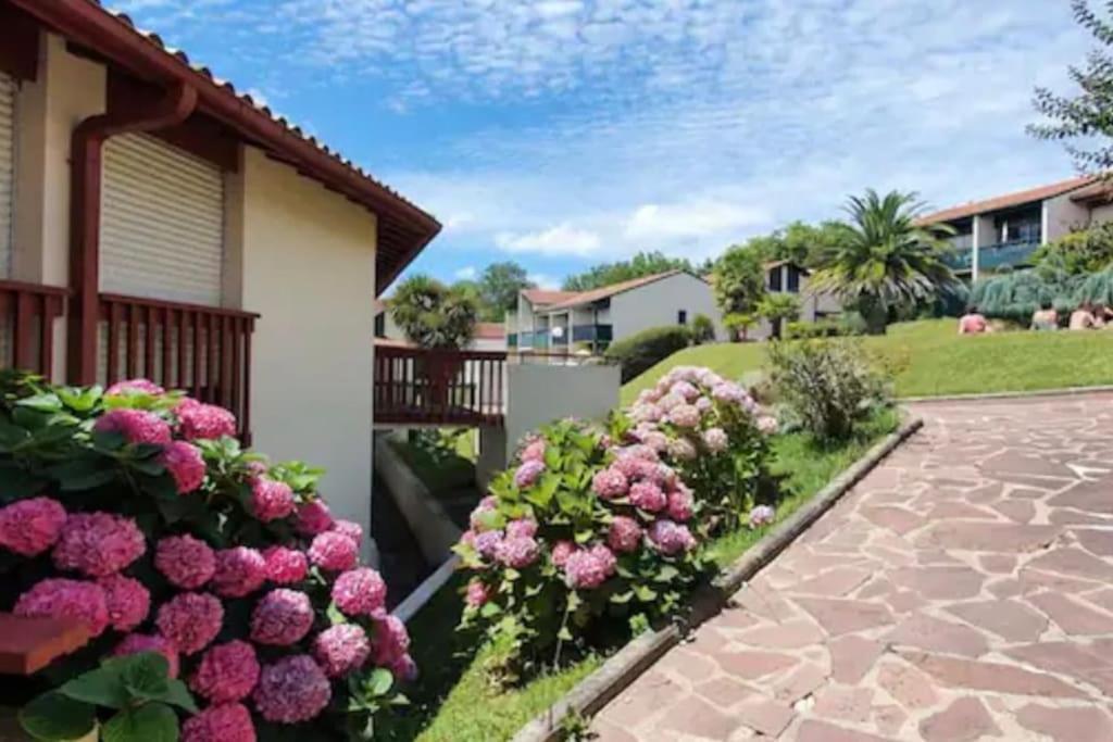 圣让－德吕兹Caporizon-Baillenia-T1 Vue Montagne - Piscine St Jean De Luz公寓 外观 照片